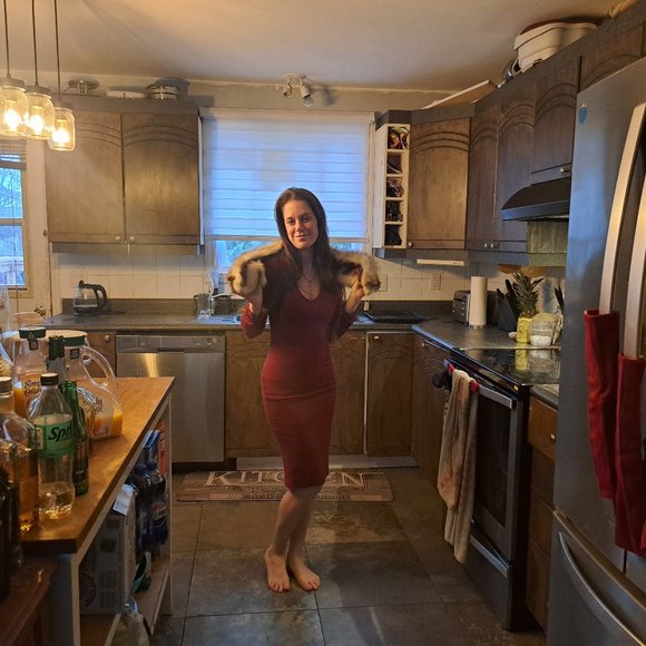 Vintage Wolf or Coyote Fur Stole - Picture 3 of 11